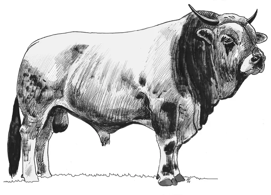 PERSEO