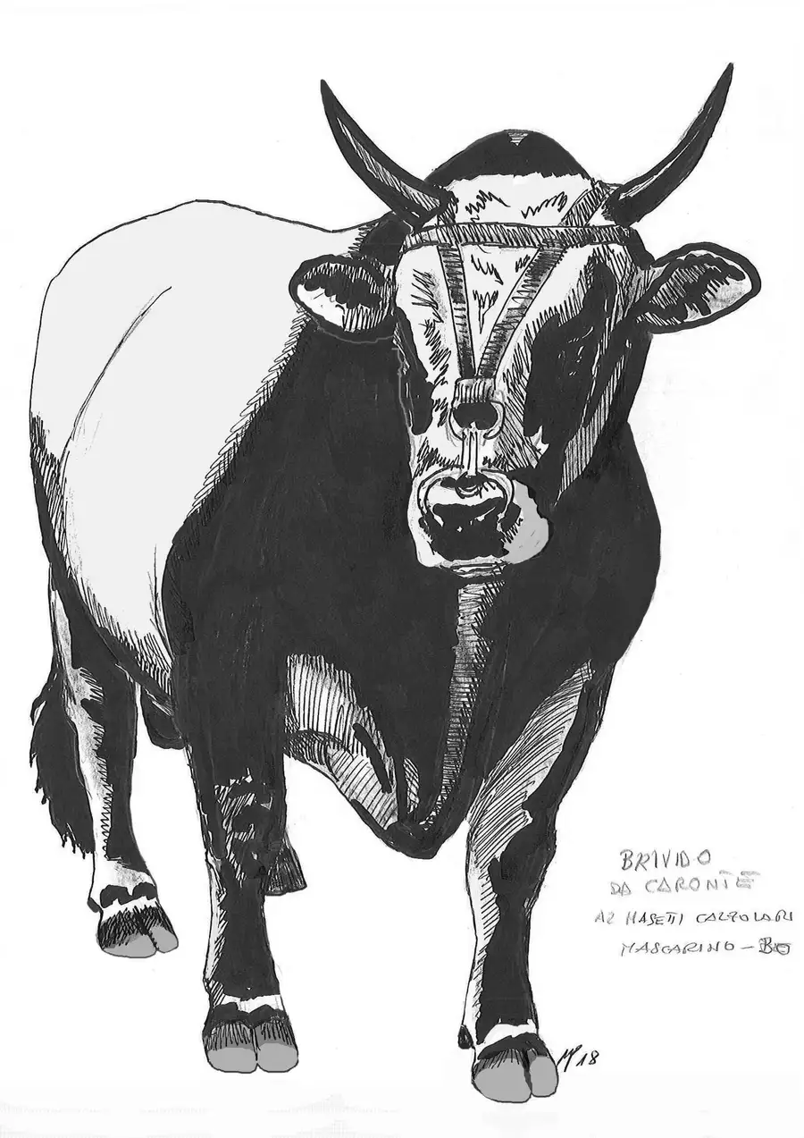 BRIVIDO